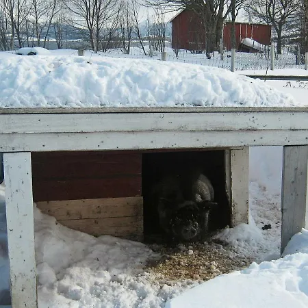 Three-bedroom Holiday In Hamnvik 1