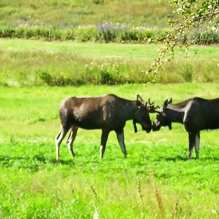 Three-bedroom Holiday In Hamnvik 1 Holiday home Bolla